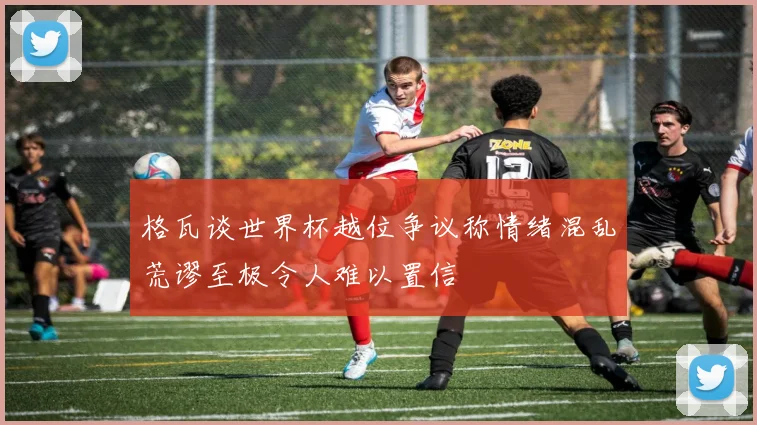 格瓦谈世界杯越位争议称情绪混乱荒谬至极令人难以置信